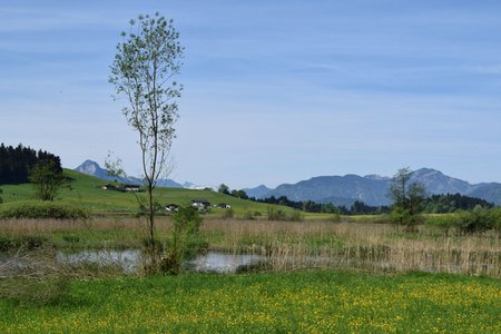 Von Walchsee um den Miesberg