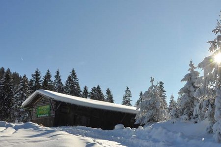 Mühlberg (1330 m) von Scharnitz