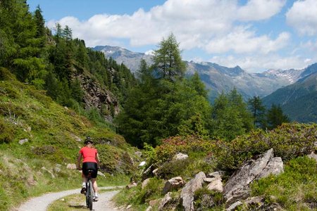 Längenfeld (Au) - Innerbergalm