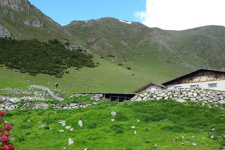 Grauner Alm von Graun