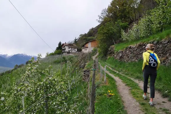 Vinschgau-Naturns, Latsch, Schlanders