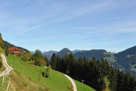 Kohleralm - Goglhof - Fügen