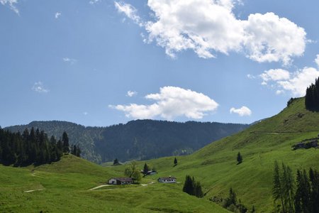 Habersaualm - Gwichtalm von Walchsee