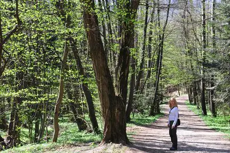 Frühlingstal - Rundwanderung