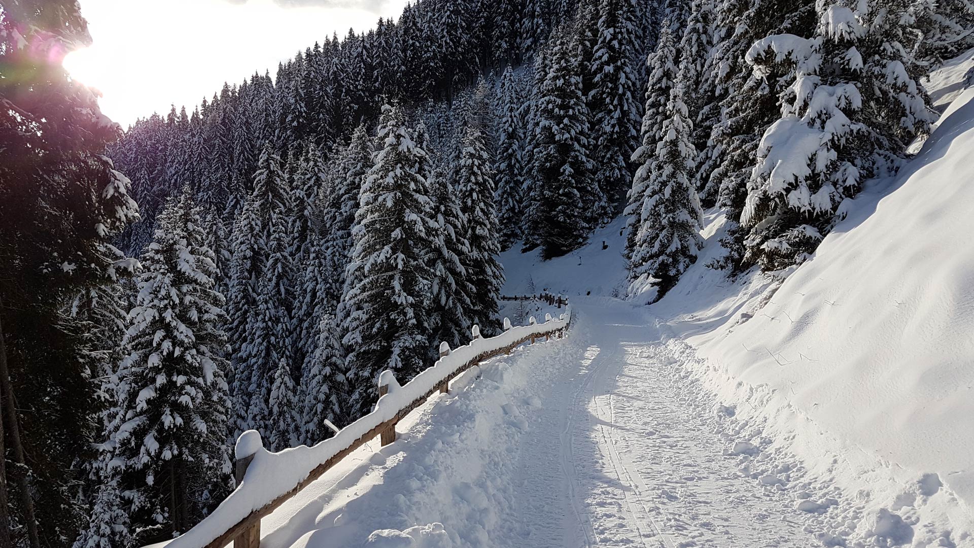 Rodeln im Pustertal - die schönsten Rodelbahnen