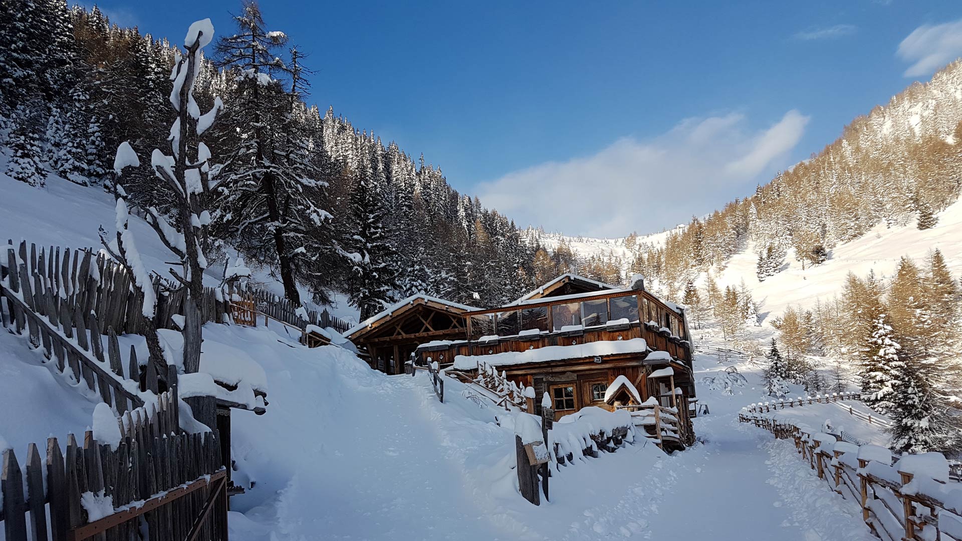 Rodelbahn Moarhofalm im Pustertal bei Pfalzen