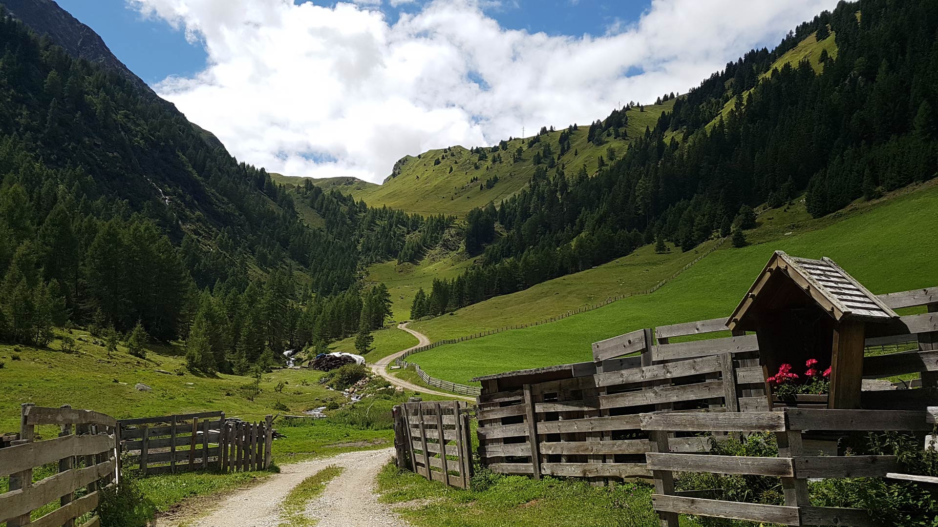 MTB: Jaufental und Ratschings Runde von Sterzing