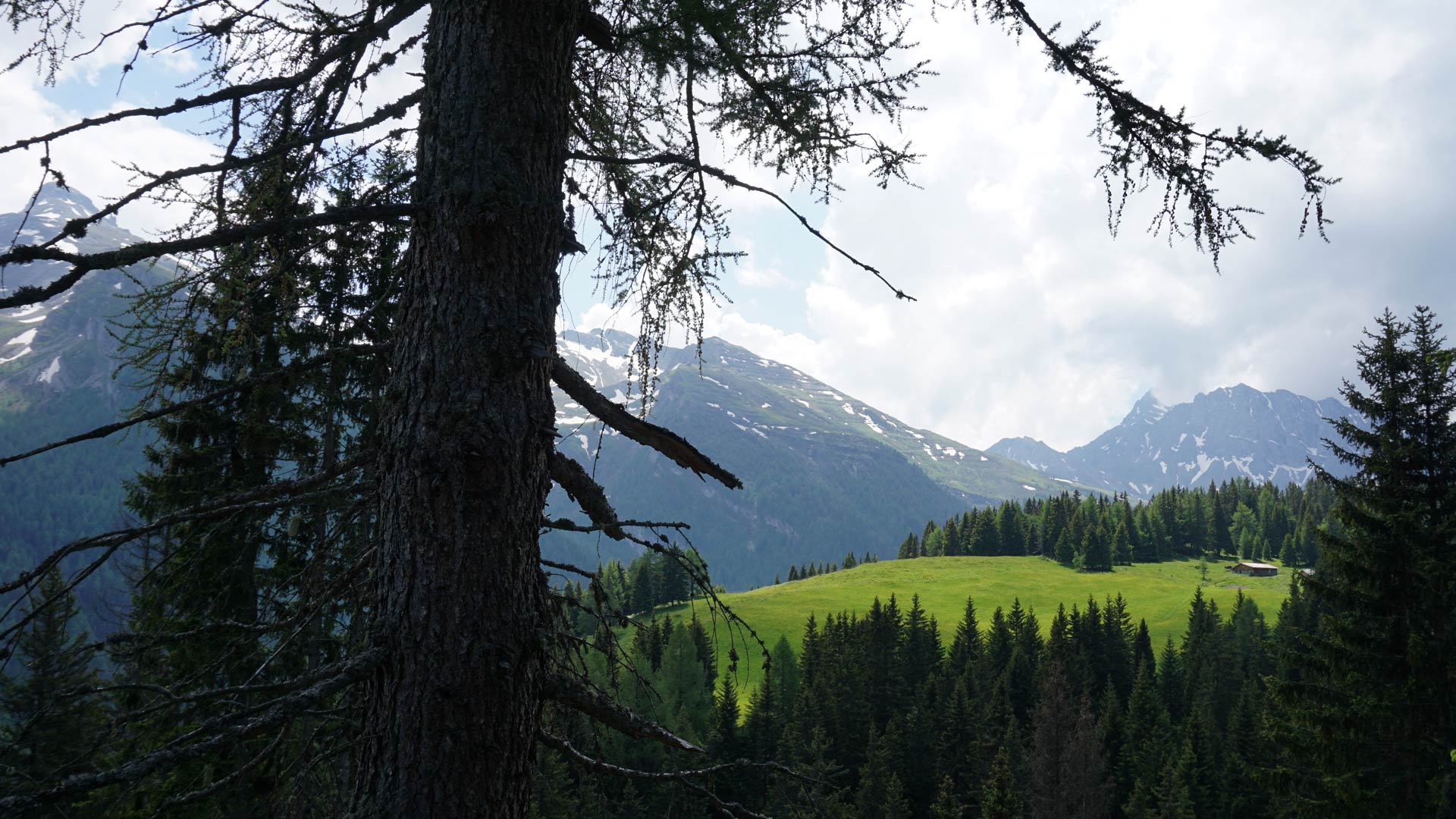 MTB-Tour: Brenner – Grenzkammrunde vom Brenner-Ort